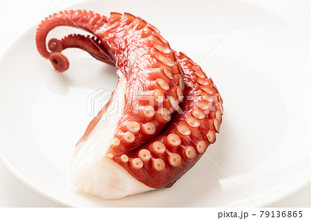 タコ(湯だこ)。(白バック) タコ(湯だこ)。(白バック) 79136865