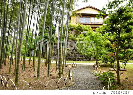 神奈川県立大磯城山公園　旧吉田茂邸地区竹林散策路と旧吉田茂邸 79137237