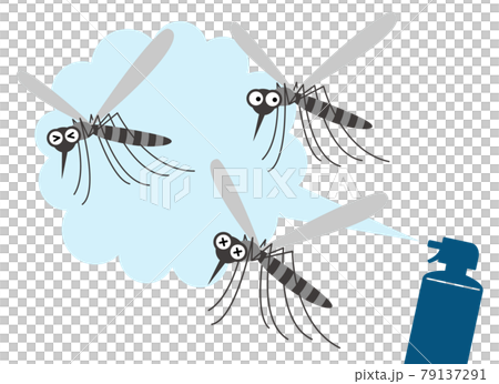 Spray pesticide spray at flying mosquitoes 79137291