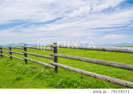 高ボッチ牧場 高ボッチ牧場 79138231