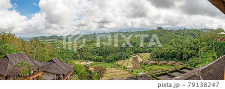 View over typical rice terraces on the island of Bali in Indonesia 79138247