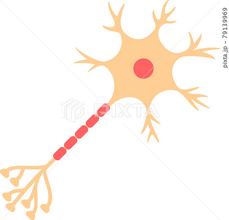 シンプルなニューロンの図のイラスト素材