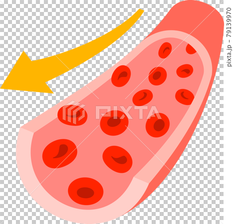 Image of blood flowing in blood vessels 79139970