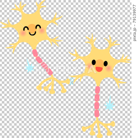 Connected neuron characters 79139977