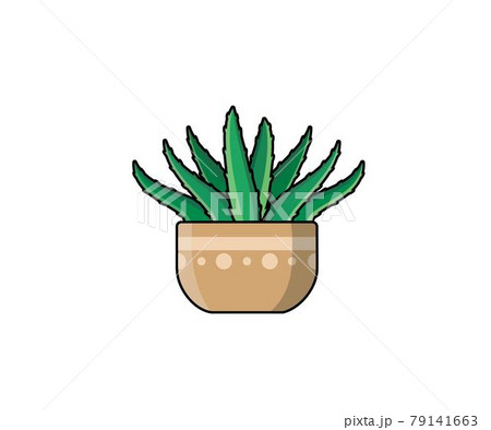 Aloe vera cactus vector illustration in flat style. Aloe vera cactus vector illustration in flat style. 79141663