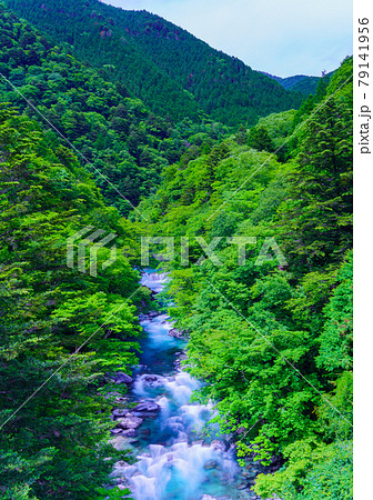 付知峡 渓流 付知峡 渓流 79141956
