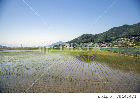 米 ノン 原野 79142471
