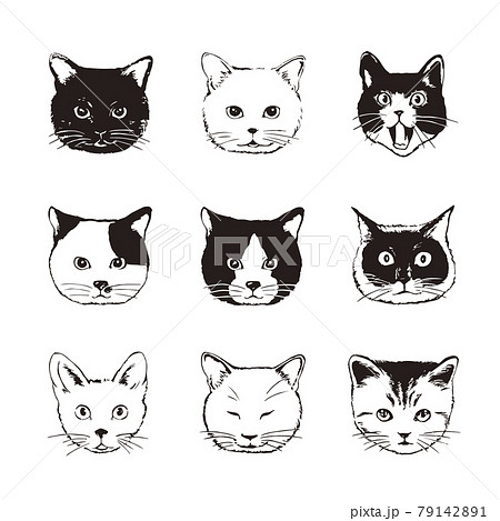 Cat Icon Set Style Stock Vector Royalty Free SVG, Cliparts, Vectors, and  Stock Illustration. Image 152011603.