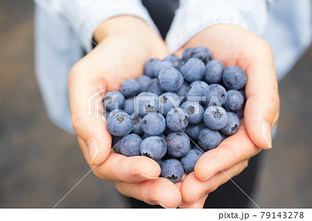 初夏の新鮮なブルーベリー 初夏の新鮮なブルーベリー 79143278
