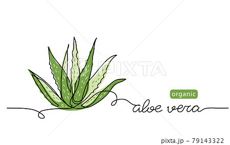 Aloe Vera Hand Draw Vector Images over 570