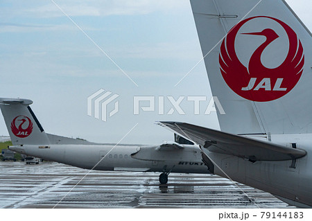 沖縄県 石垣市 石垣島 新石垣空港 離島 リゾート 島 天国 夏休み 観光 旅行 飛行機 ターミナル 沖縄県 石垣市 石垣島 新石垣空港 離島 リゾート 島 天国 夏休み 観光 旅行 飛行機 ターミナル 79144183
