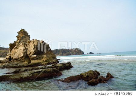 琴ヶ浜海岸(石川県) 琴ヶ浜海岸(石川県) 79145966
