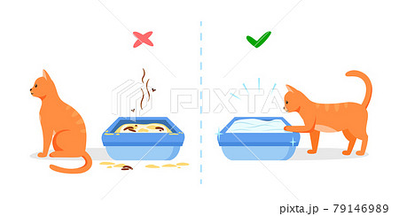 Dirty and clean cat litter box. Wrong and right way to maintain pet toilet. Pet toilet hygiene concept. Vector illustration 79146989