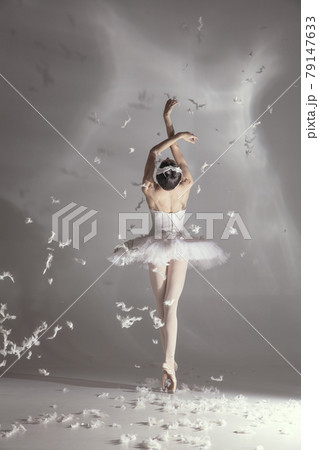 Young graceful balerina in image of white swan in art performance isolated on gray white background. 79147633