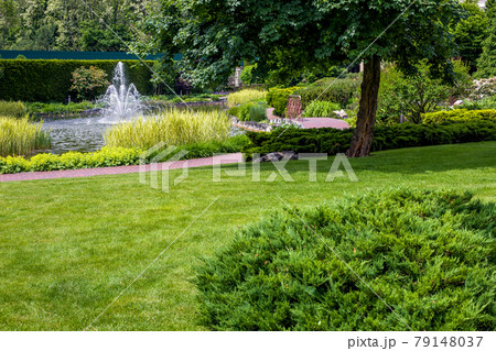 park with green grass lawn and pond with reeds and fountain summer backyard landscape with stone tile trail for walking through the garden with plants, nobody. 79148037