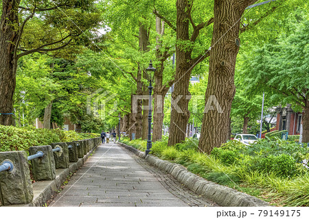 横浜の都市風景　山下公園前 79149175