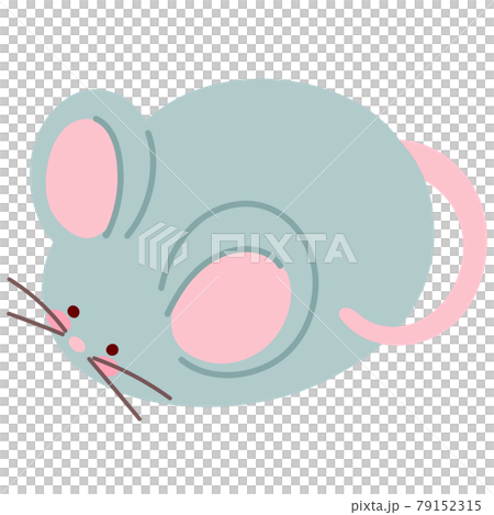 シンプルで可愛いまん丸な灰色のネズミのイラスト　主線なし 79152315