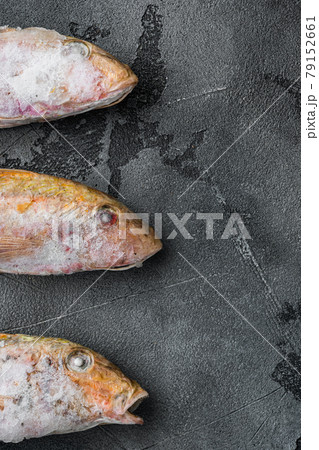 Frozen Goatfish raw fish, on gray stone table background, top view flat lay , with copy space for text Frozen Goatfish raw fish, on gray stone table background, top view flat lay , with copy space for text 79152661