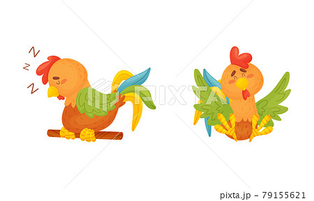 Rooster Funny Character With Bright Feathers のイラスト素材