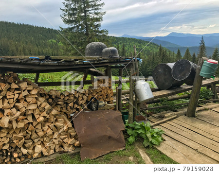 Operation and felling of trees in the mountains of Ukraine Operation and felling of trees in the mountains of Ukraine 79159028
