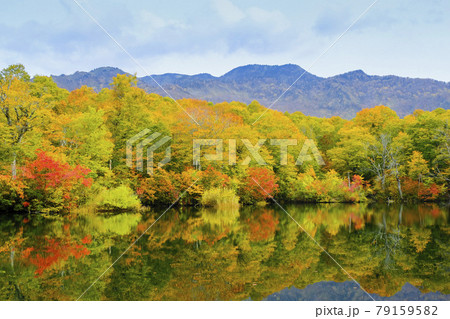 紅葉の鎌池 紅葉の鎌池 79159582
