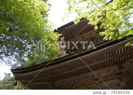 高野山 金剛峯寺金輪塔 和歌山県高野町 高野山 金剛峯寺金輪塔 和歌山県高野町 79160330