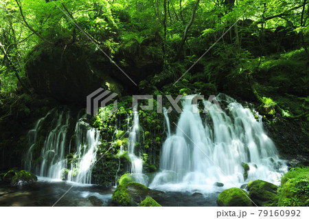 元滝伏流水 79160992