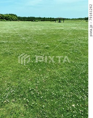 柳島しおさい公園 79161262