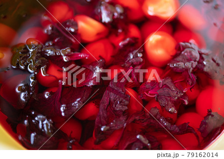 梅干作りの本漬け 梅干作りの本漬け 79162014