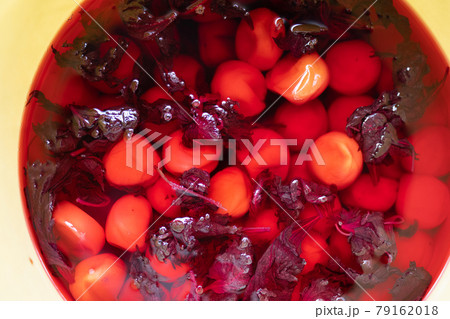 梅干作りの本漬け 梅干作りの本漬け 79162018