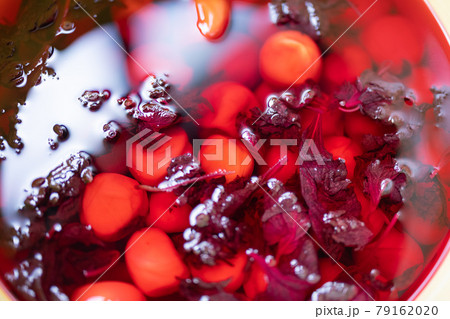 梅干作りの本漬け 梅干作りの本漬け 79162020