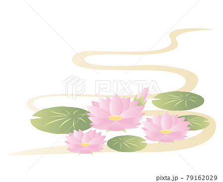 睡蓮の花のベクターイラストのイラスト素材