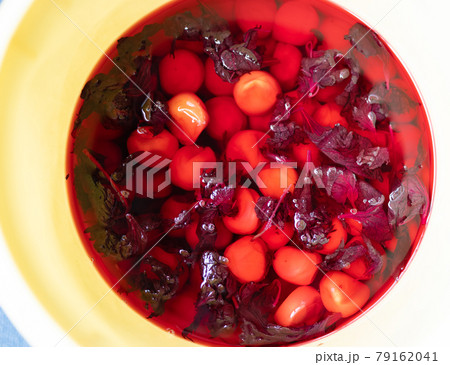 梅干作りの本漬け 79162041