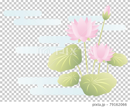 蓮花花矢量圖 蓮花花矢量圖 79162066