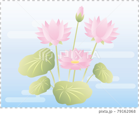 蓮花花矢量圖 蓮花花矢量圖 79162068
