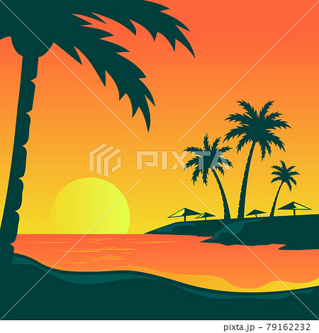 palm tree ocean view background illust 79162232