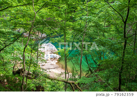 龍王峡 　遊歩道　周辺の景色　日光市　　　　　 79162359