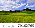 秩父郡横瀬町の寺坂棚田  Rice terraces in Chichibu  79162765