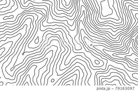 Topographic map contour vector mountain geographic relief background. Contour map terrain 79163097