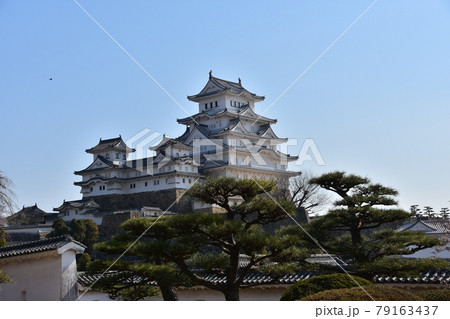 日本の兵庫県の姫路市 世界遺産で国宝でもある姫路城 春の桜と青空と立派な天守閣 庭園の美しい松の木 日本の兵庫県の姫路市 世界遺産で国宝でもある姫路城 春の桜と青空と立派な天守閣 庭園の美しい松の木 79163437