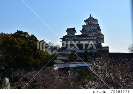 日本の兵庫県の姫路市 世界遺産で国宝でもある姫路城 春の桜と青空と立派な天守閣 日本の兵庫県の姫路市 世界遺産で国宝でもある姫路城 春の桜と青空と立派な天守閣 79163578