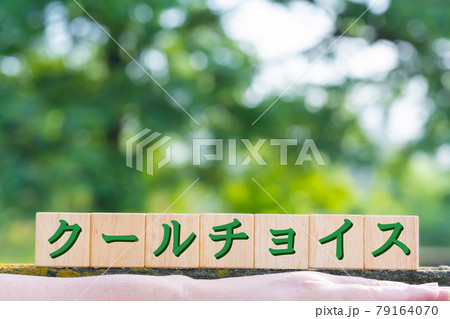 イメージ　クールチョイス 79164070