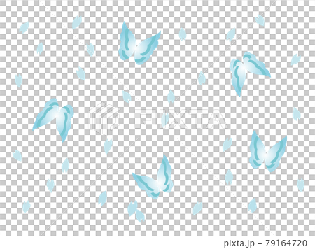 Blue butterfly and cherry blossom petal pattern Blue butterfly and cherry blossom petal pattern 79164720