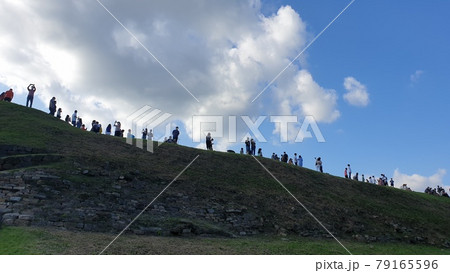 ヒマワリ 丘 青空 79165596