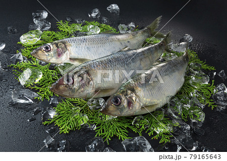 新鮮な3尾のニシン 79165643