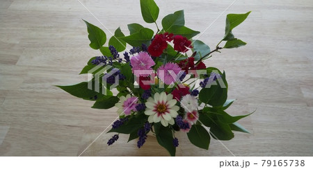 花のある日常 花のある日常 79165738