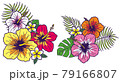ハイビスカスのイラスト 79166807