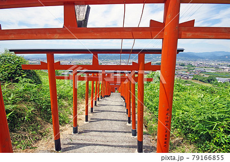 赤い鳥居が並ぶ福岡県の人気観光スポット浮羽稲荷神社 79166855