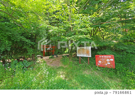 浮羽稲荷神社がある城ヶ鼻公園入口と松尾神社鳥居 浮羽稲荷神社がある城ヶ鼻公園入口と松尾神社鳥居 79166861