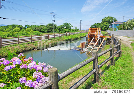 人気観光スポット紫陽花が咲く朝倉市の久重二連水車 79166874